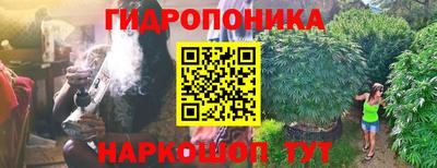 PSILOCYBIN Чебоксары