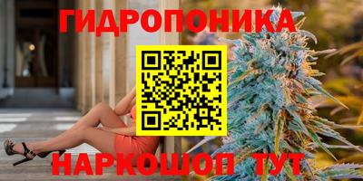 PSILOCYBIN Чебоксары