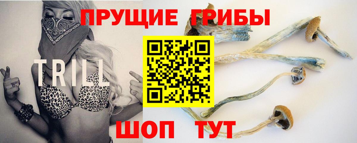 Псилоцибиновые грибы GOLDEN TEACHER Белебей